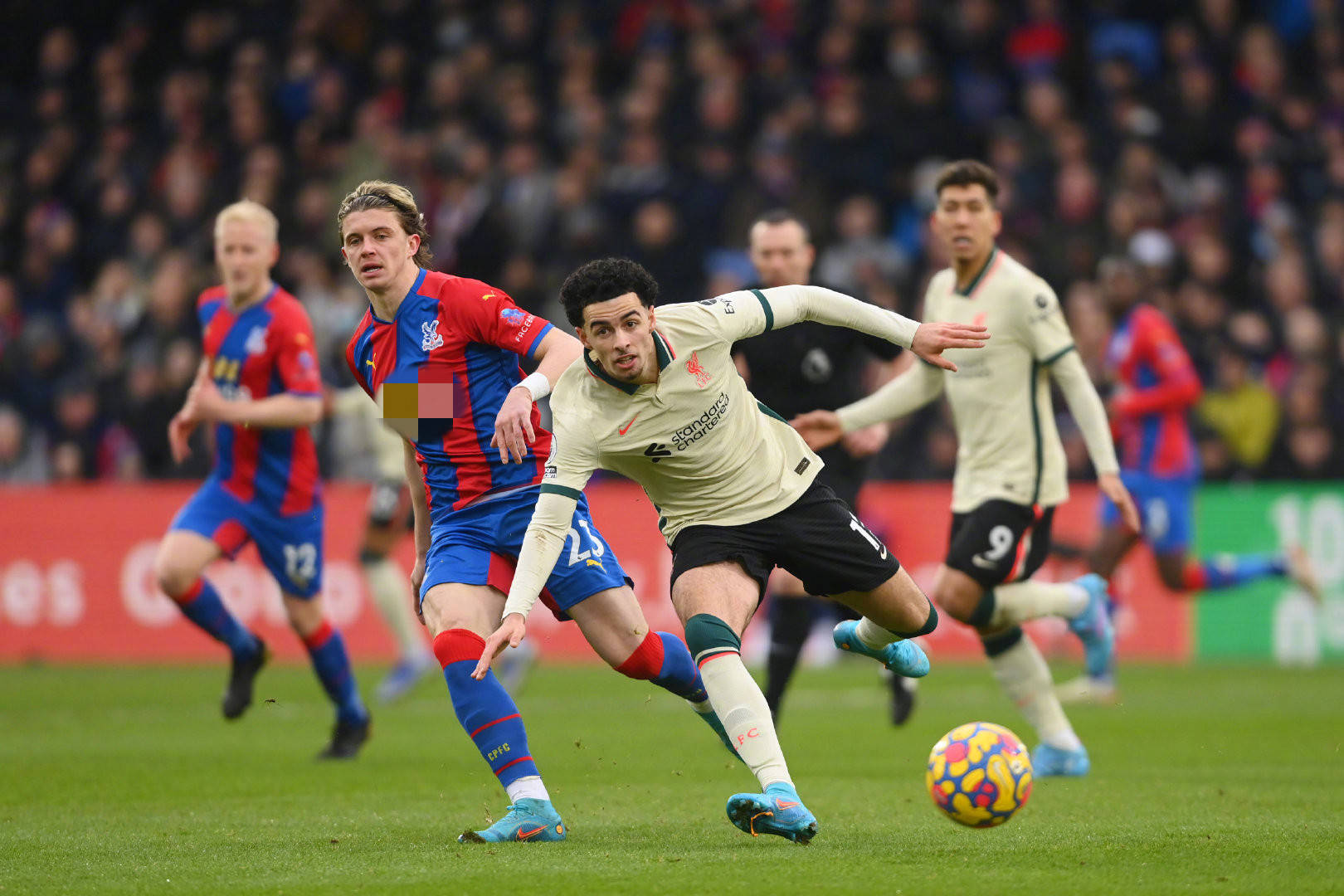 理想的晚年 理想的晚年